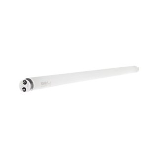 ŚWIETLÓWKA LINIOWA TUBA SZKLANA T8 58W/865 150CM KANLUX